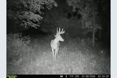 3618 Harper Road, Earlville, IL 60518 - Photo 91