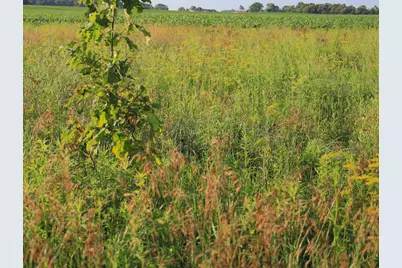 3618 Harper Road, Earlville, IL 60518 - Photo 79