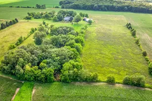 4206 W West Grove Rd, Leaf River, IL 61047 - Photo 61