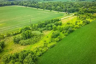 9836 E Maize Rd, Ridott, IL 61067 - Photo 37