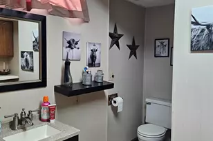 520 N Bruce St, Lanark, IL 61046 - Photo 17