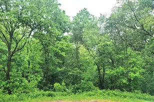 4 Hillside Ct, Galena, IL 61036 - Photo 1
