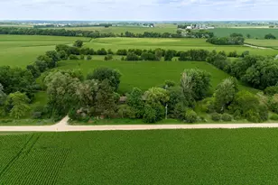 7772 E Kelly Rd, Ridott, IL 61067 - Photo 5
