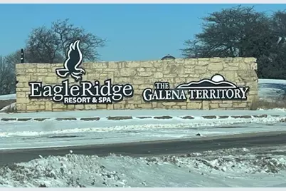 10 Farmstead Drive, Galena, IL 61036 - Photo 33
