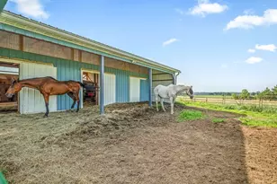 4206 W West Grove Rd, Leaf River, IL 61047 - Photo 37