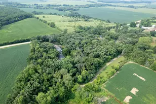 916 W Town Line Rd, Leaf River, IL 61047 - Photo 67