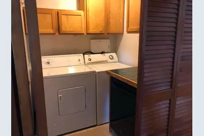 219 W 4th Street, Pecatonica, IL 61063 - Photo 9
