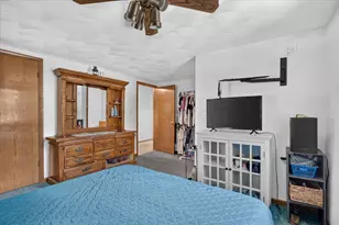 310 Mill St, Cedarville, IL 61013 - Photo 19