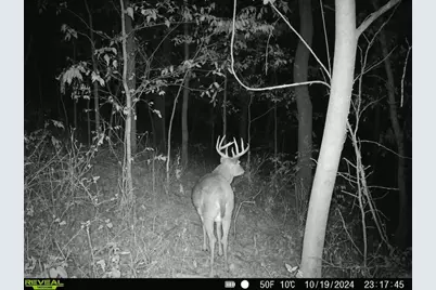 Tbd Clark Road, Browntown, WI 53522 - Photo 1