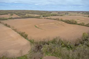 Tbd Big Cut Rd, Mount Carroll, IL 61053 - Photo 1