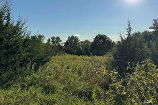 5 Woodside Dr, Galena, IL 61036 - Photo 1