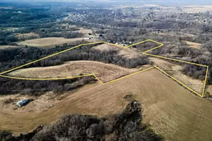 39 61 Acres +/- Tbd Donegan St, Galena, IL 61036 - Photo 1