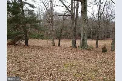 10015 H.G. Trueman Road, Lusby, MD 20657 - Photo 5