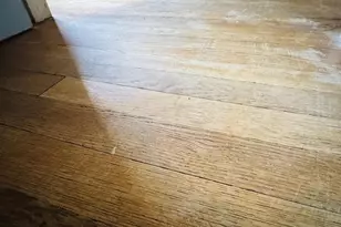 222 James Ave, Waynesboro, VA 22980 - Photo 49