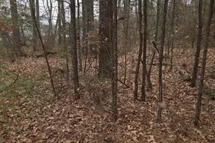 19 Evergreen Dr, Colonial Beach, VA 22443 - Photo 1