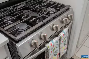 323 Driscoll St, Staunton, VA 24401 - Photo 13