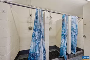 443 Meadow View Ln, Fort Valley, VA 22652 - Photo 57