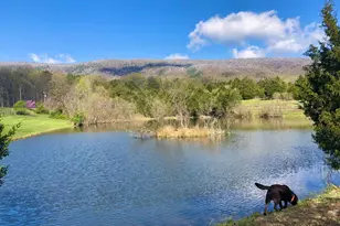 443 Meadow View Ln, Fort Valley, VA 22652 - Photo 1