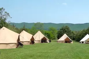 443 Meadow View Ln, Fort Valley, VA 22652 - Photo 39