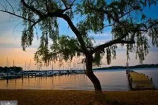 1165 Green Holly Ct, Annapolis, MD 21409 - Photo 41