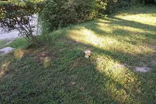 461 Jewell Rd, Dunkirk, MD 20754 - Photo 5