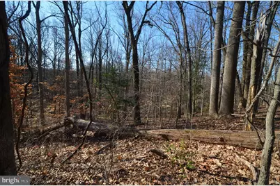 1013 Waterbury Heights Drive, Crownsville, MD 21032 - Photo 9