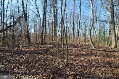 1013 Waterbury Heights Drive, Crownsville, MD 21032 - Photo 5