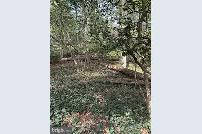 Redwood Trail, Crownsville, MD 21032 - Photo 3