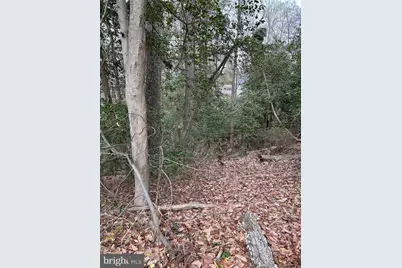 Beech Trail, Crownsville, MD 21032 - Photo 1