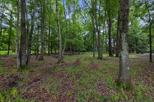 3268 Kitty Duvall Dr, Annapolis, MD 21403 - Photo 11