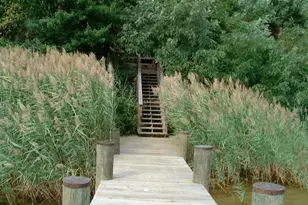 27 Old South River Rd, Edgewater, MD 21037 - Photo 21