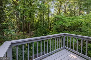 852 Birch Trail, Crownsville, MD 21032 - Photo 57