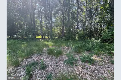 4907 Quince Street, Shady Side, MD 20764 - Photo 3