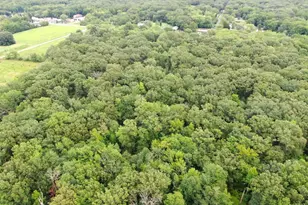 6152 Shady Side Rd, Shady Side, MD 20764 - Photo 13