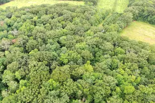 6152 Shady Side Rd, Shady Side, MD 20764 - Photo 9