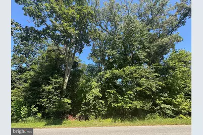 Maryland Avenue, Pasadena, MD 21122 - Photo 3