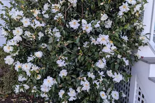 1663 Cliff Dr, Edgewater, MD 21037 - Photo 41