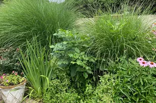 1080 Mt Airy Rd, Davidsonville, MD 21035 - Photo 29