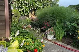 1080 Mt Airy Rd, Davidsonville, MD 21035 - Photo 49