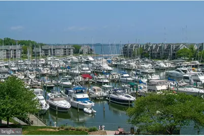 2010 Quay Village Court #101, Annapolis, MD 21403 - Photo 9