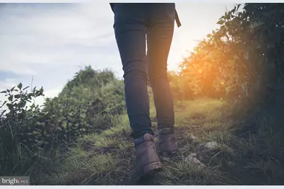 1305 Bracken Lane, Laurel, MD 20724 - Photo 35