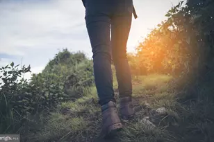 1305 Bracken Ln, Laurel, MD 20724 - Photo 35