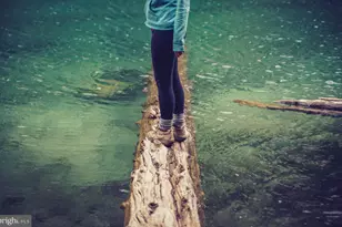 1305 Bracken Ln, Laurel, MD 20724 - Photo 39