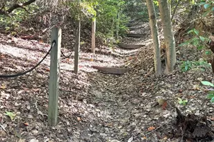 3160 Rolling Rd, Edgewater, MD 21037 - Photo 51