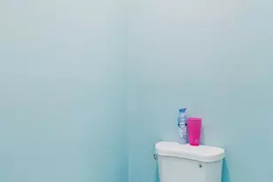 3522 Forest Haven Dr, Laurel, MD 20724 - Photo 17