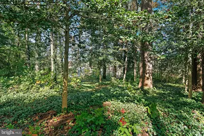 243 and 245 Haverton Road, Arnold, MD 21012 - Photo 17