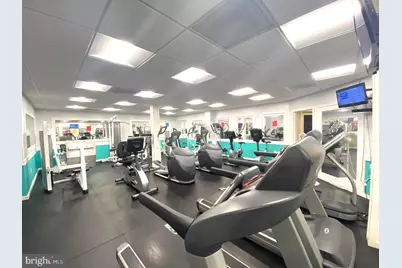 2006 Ripley Point Court, Odenton, MD 21113 - Photo 49