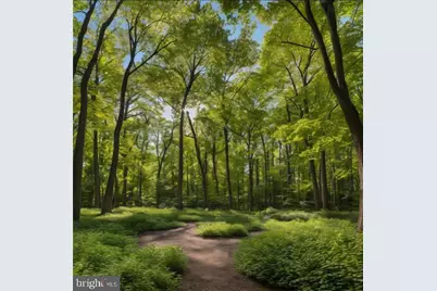 0 Bird Of Paradise Court, Edgewater, MD 21037 - Photo 1