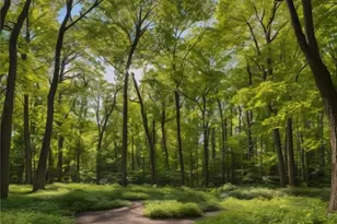 0 Bird Of Paradise Ct, Edgewater, MD 21037 - Photo 1
