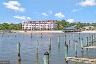 7037 Dover Ave, North Beach, MD 20714 - Photo 37